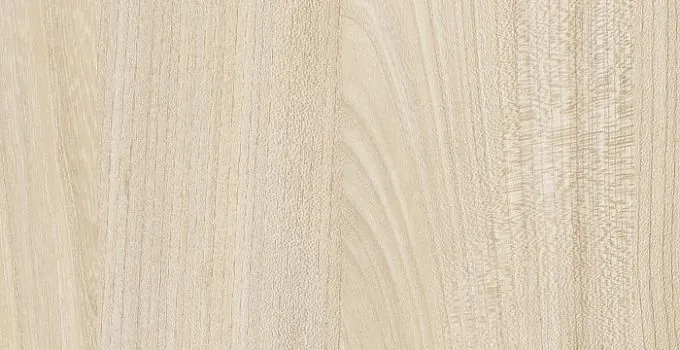 7171 Вяз Палермо светлый - wooden collection столешница из HPL-пластика