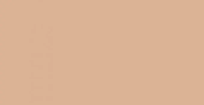 1019 Salmon - monochrome collection столешница из HPL-пластика