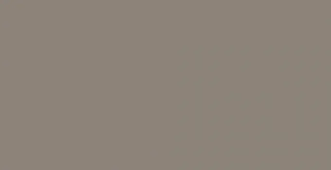 1046 Grey beige - monochrome collection столешница из HPL-пластика
