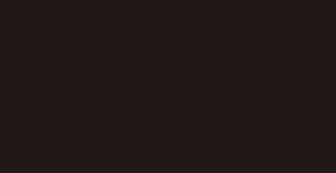 1043 Chocolate - monochrome collection столешница из HPL-пластика