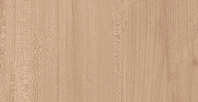7173 Вяз Эланд - wooden collection столешница из HPL-пластика