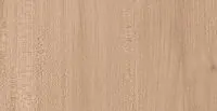 7173 Вяз Эланд - wooden collection столешница из HPL-пластика