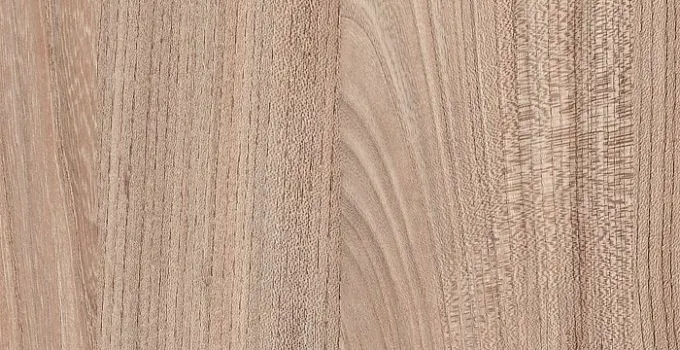 7172 Вяз Палермо темный - wooden collection столешница из HPL-пластика