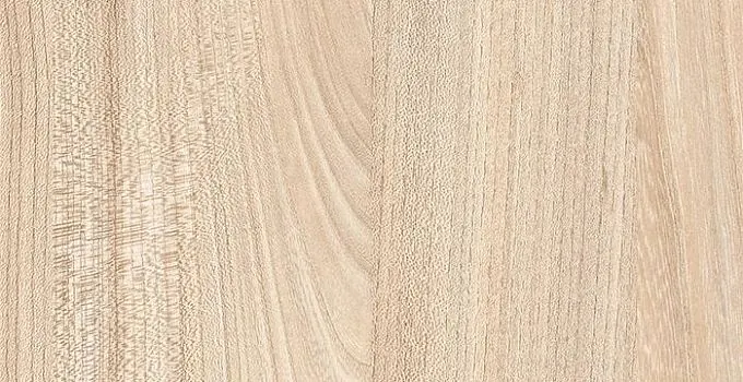 7170 Вяз Палермо - wooden collection столешница из HPL-пластика