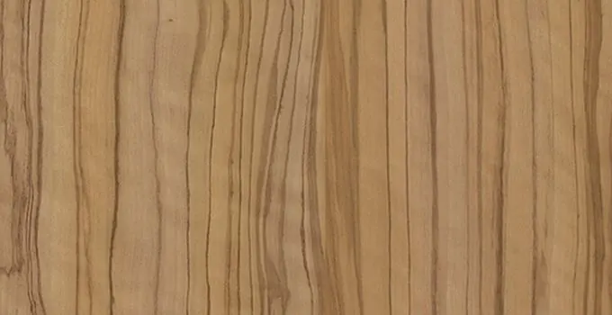 3213 Севильская олива светлая - wooden collection столешница из HPL-пластика